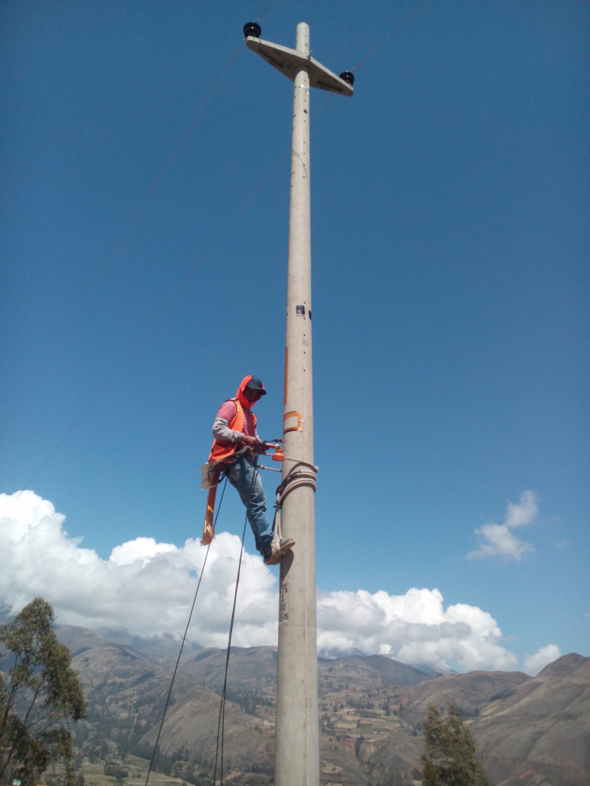 Proyecto